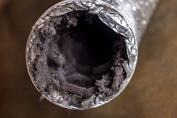 Best HVAC Duct Inspection Services  in Edwardsville, KS